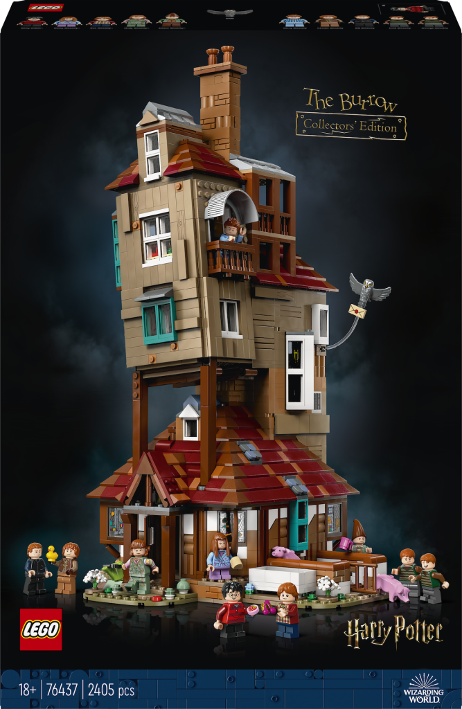 LEGO Harry Potter 76437 La Tana Edizione da collezione 1 667x1024