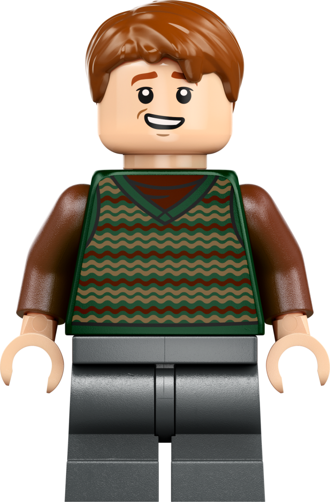 LEGO Harry Potter 76437 La Tana Edizione da collezione 20 674x1024