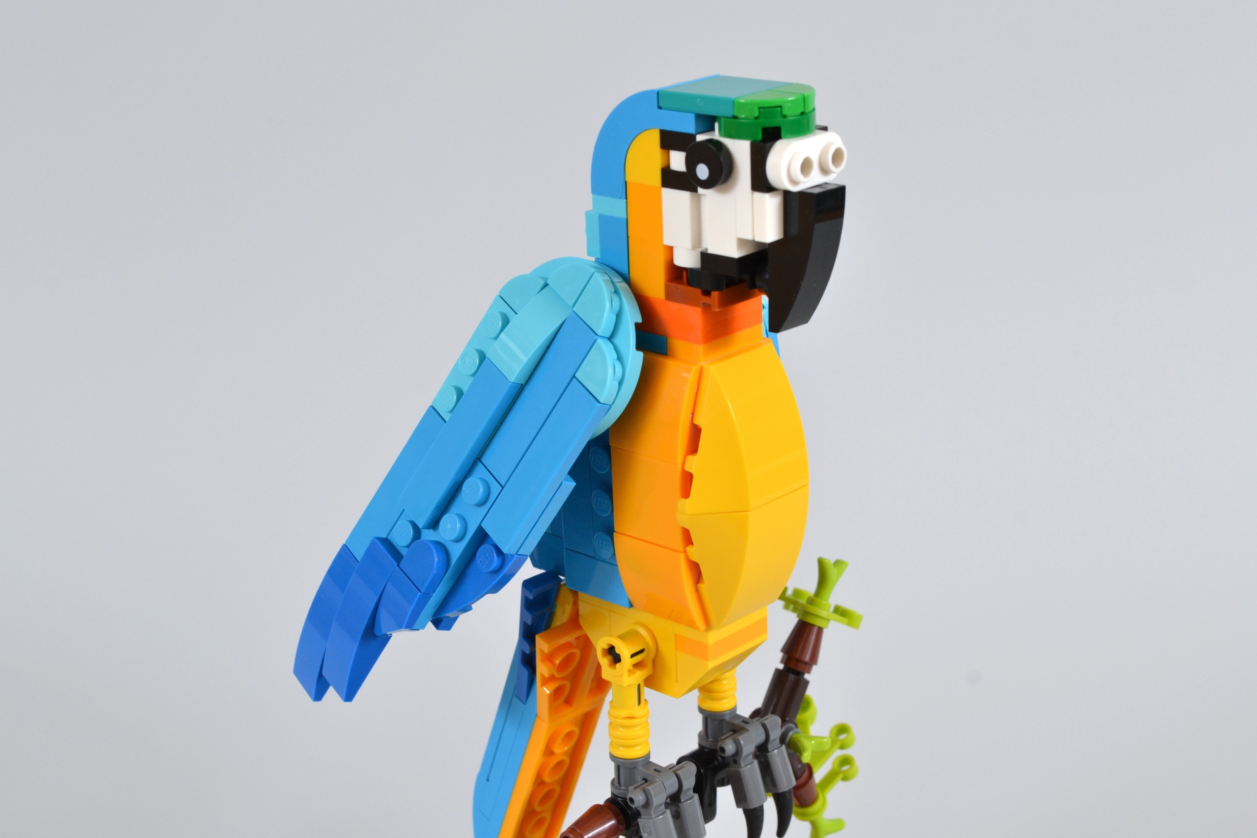 LEGO Creator 3-in-1 31136 Exotic Parrot review - Brick Fanatics