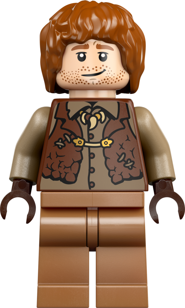 LEGO Harry Potter 76437 La Tana Edizione da collezione 17 615x1024
