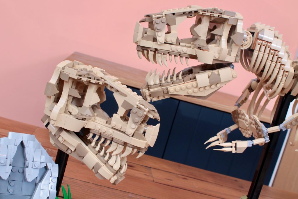 LEGO Jurassic Park 76968 Dinosaurier-Fossilien Tyrannosaurus rex – Testbericht 32 (1024x683)
