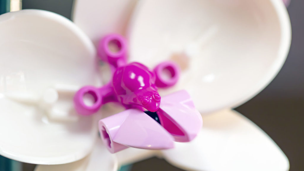 Kolekcja LEGO Botanical 10311 Orchidea 5 1024x576