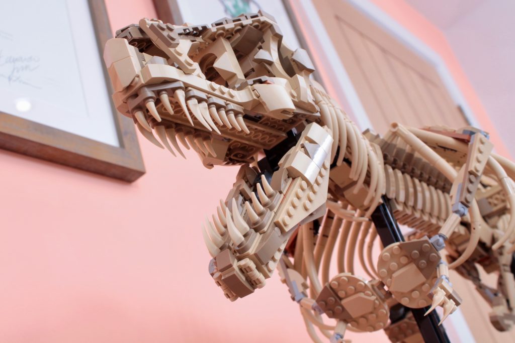 LEGO Jurassic Park 76968 Dinosaurier-Fossilien Tyrannosaurus rex – Testbericht 4 (1024x683)