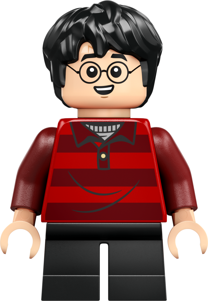 LEGO Harry Potter 76437 La Tana Edizione da collezione 11 707x1024