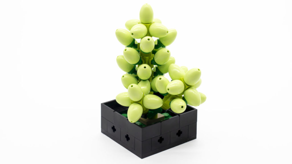 LEGO Kolekcja botaniczna 10309 Sukulenty 18 1024x576