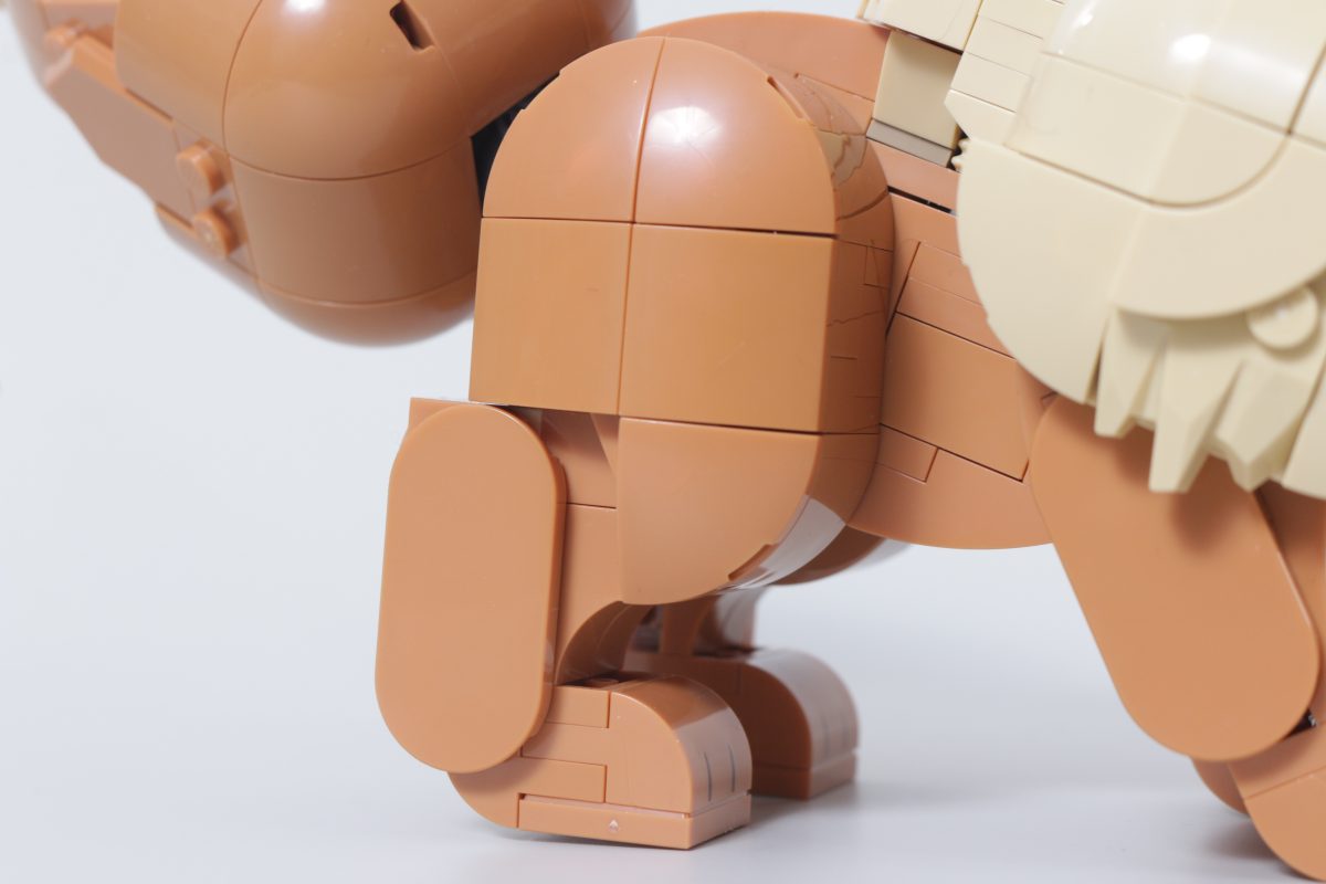 LEGO Pokémon 72151 Eevee review 11 1200x800