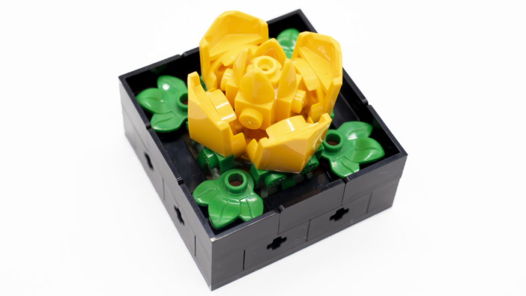LEGO Creator Expert Botanical Collection 10309 Succulents review - Brick  Fanatics