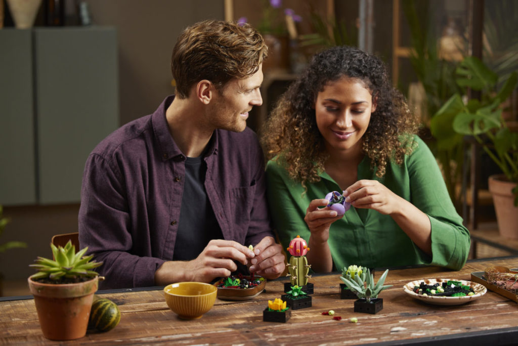 LEGO Creator Expert Botanical Collection 10309 Succulents 9 1024x684