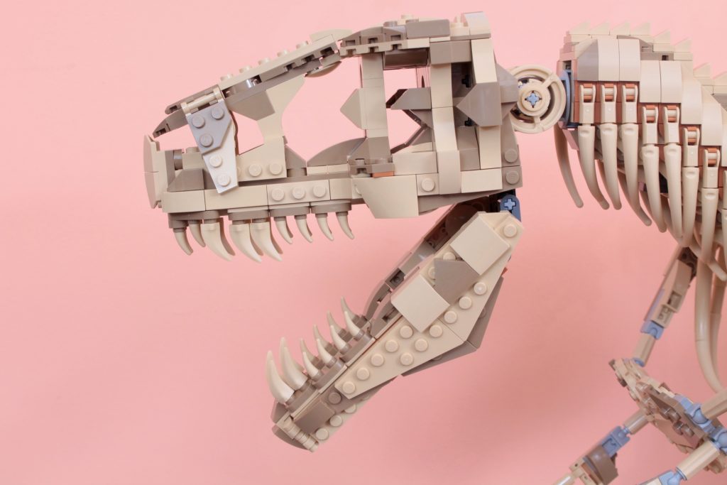 LEGO Jurassic Park 76968 Dinosaurier-Fossilien Tyrannosaurus rex – Testbericht 3 (1024x683)