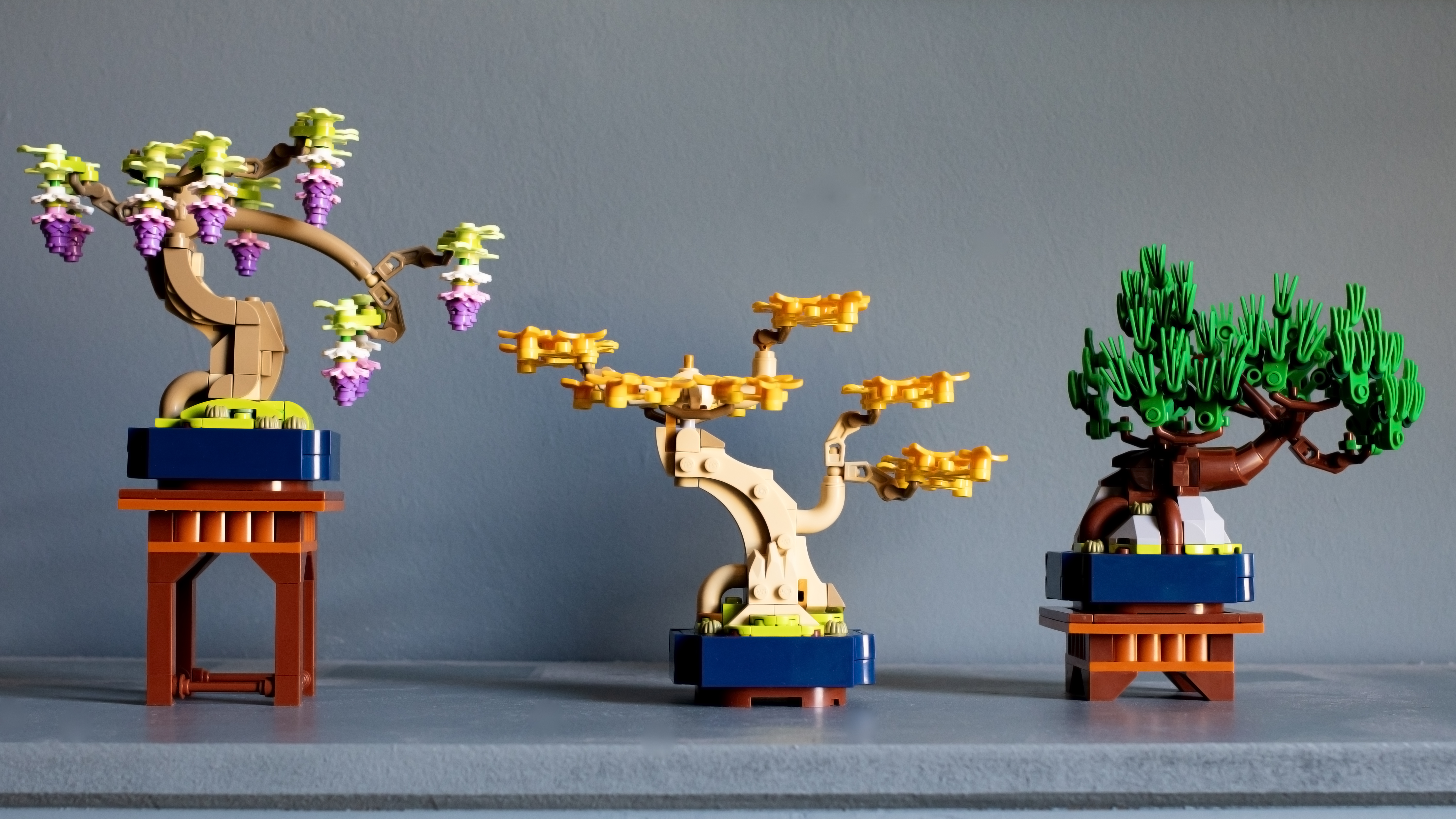 LEGO Botanicals 10373 Mini-Bonsai-Bäume Bewertung