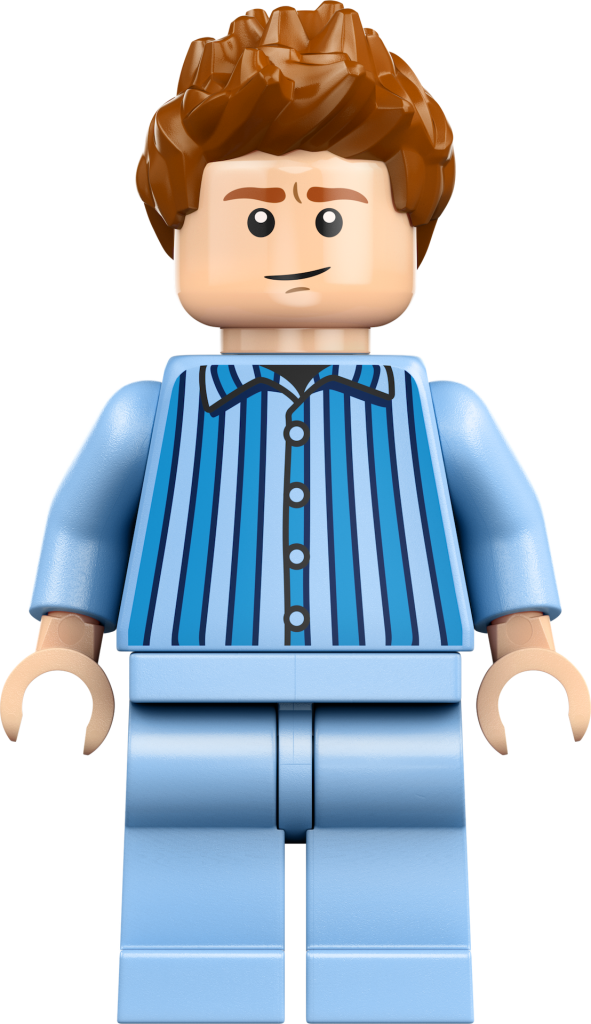 LEGO Harry Potter 76437 La Tana Edizione da collezione 16 591x1024
