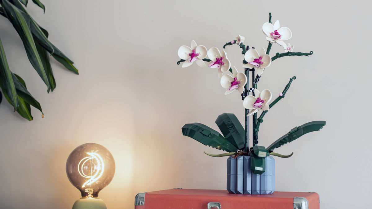 Every set currently in the LEGO Botanical Collection – April 2022