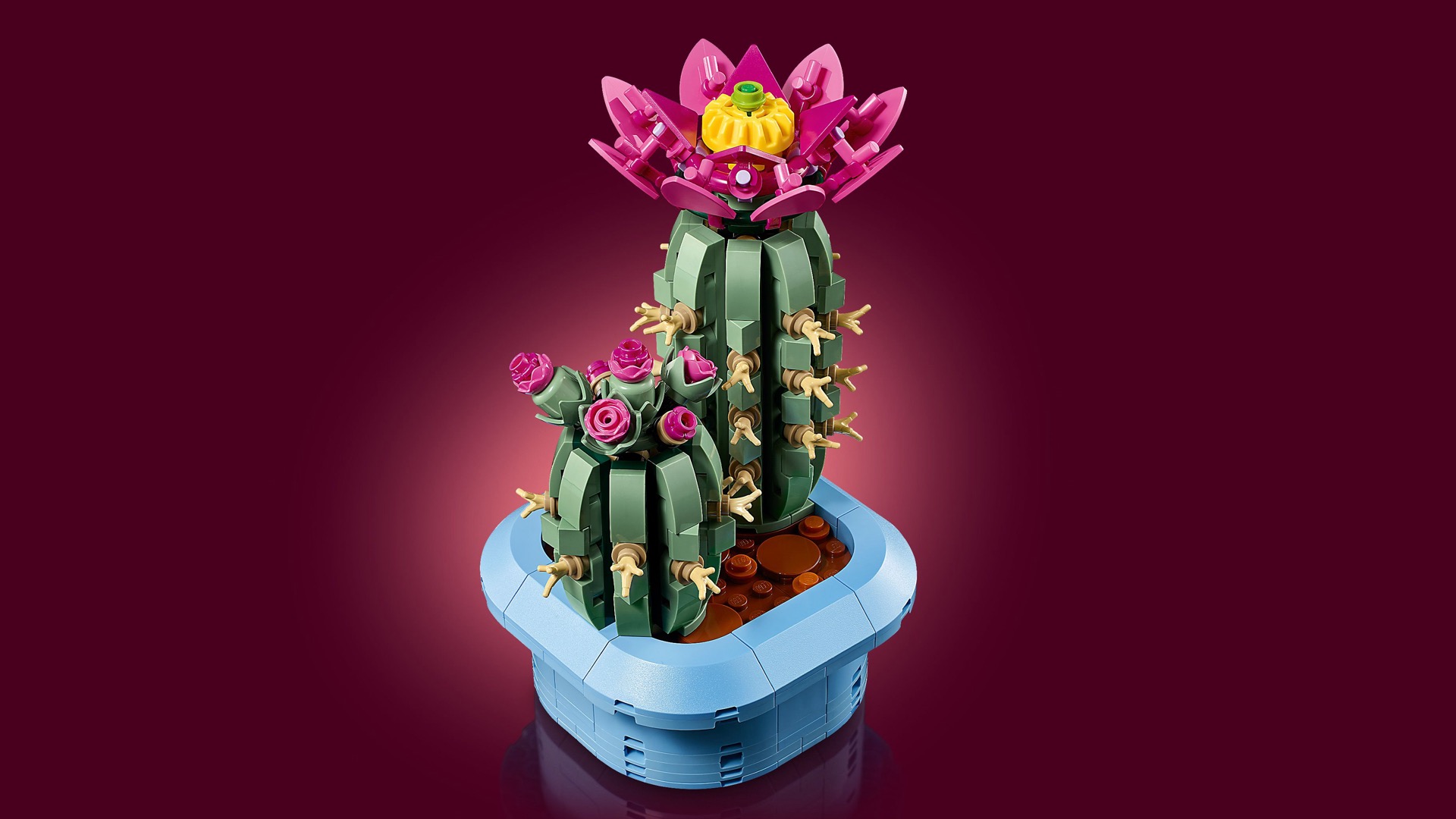 480-piece LEGO Botanicals cactus on sale for under £15
