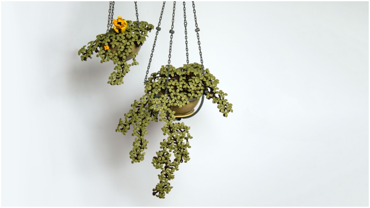 LEGO Hanging Flowers project hits 10,000 votes on LEGO Ideas