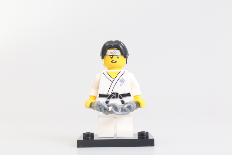 Reseña de las minifiguras coleccionables LEGO Serie 20 48
