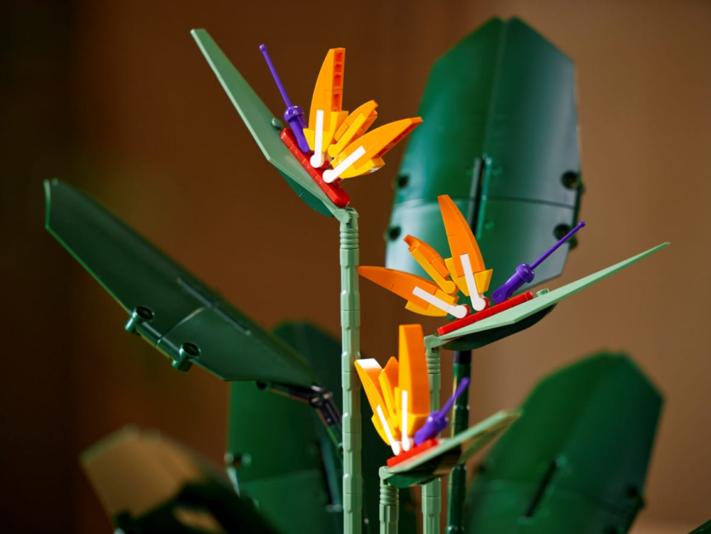 LEGO 10289 Ptak rajski styl życia 5