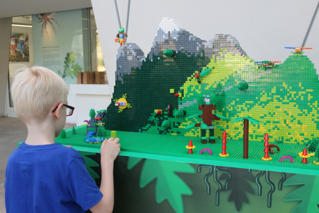 LEGO plants from plants evento en el Museo de Historia Natural