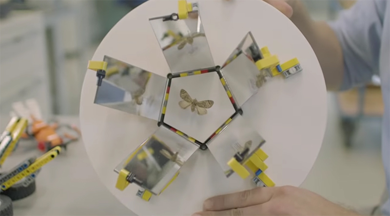 LEGO bricks help the Natural History Museum to examine specimens