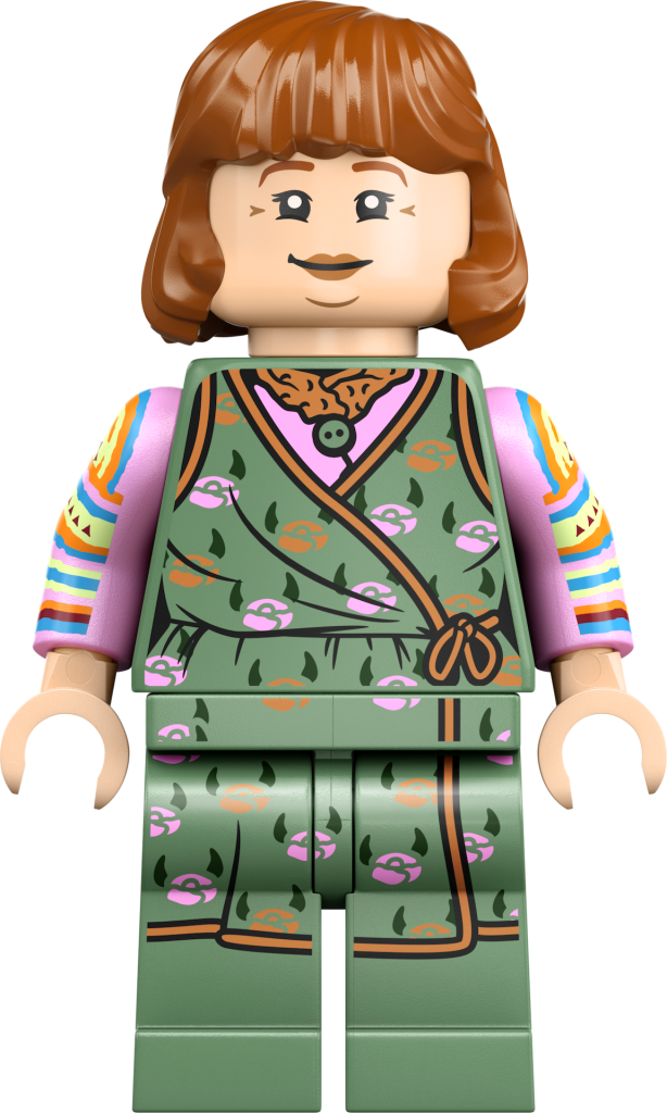 LEGO Harry Potter 76437 La Tana Edizione da collezione 14 614x1024