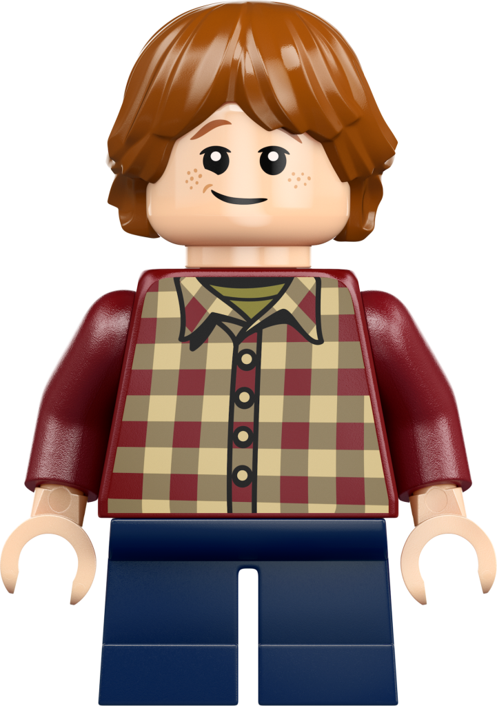 LEGO Harry Potter 76437 La Tana Edizione da collezione 13 721x1024