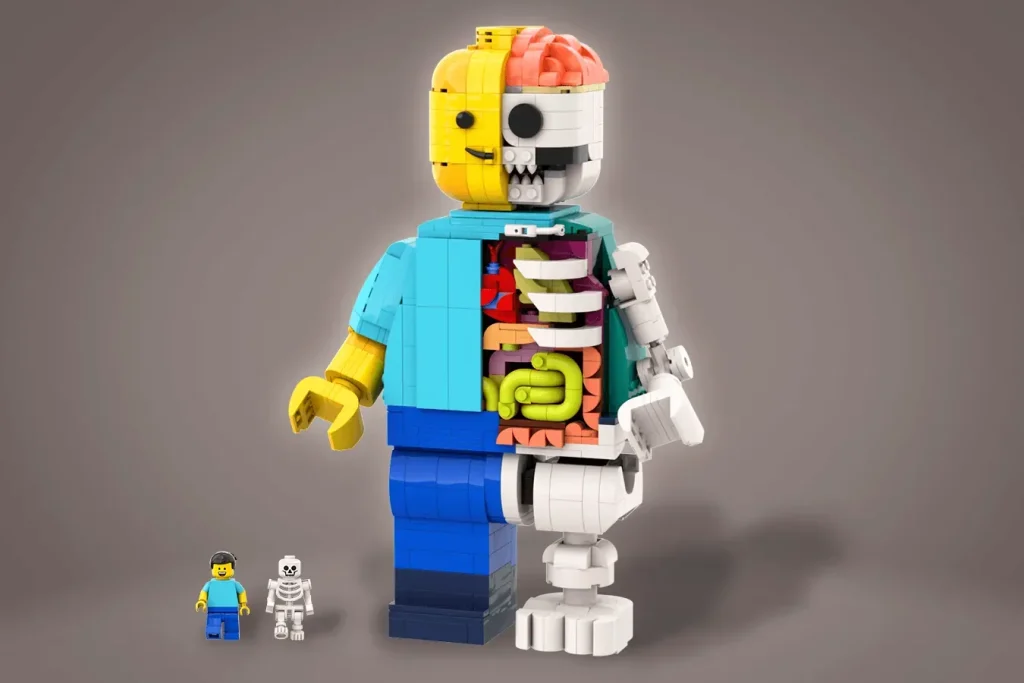LEGO Ideas anatomy 1024x683