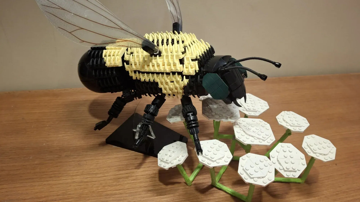 Erstes LEGO Ideas Die Rezension zu 2026 sorgt mit einem neuen Fanbeitrag für Aufsehen.