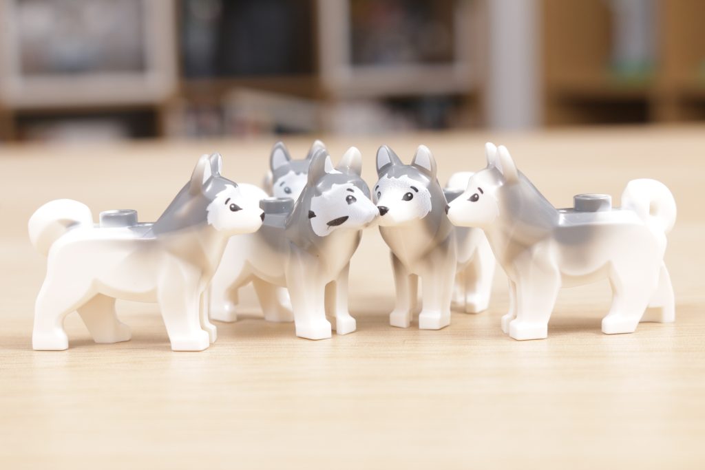 LEGO Husky dog misprint 3 1024x683