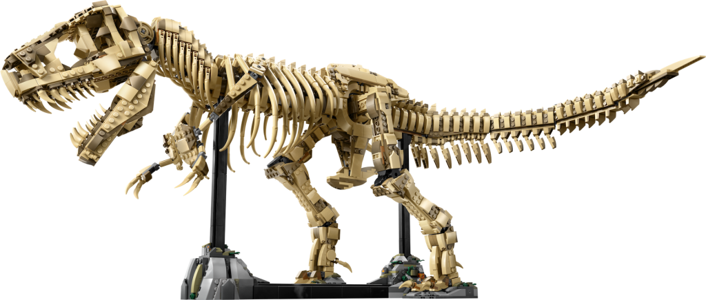 LEGO Jurassic Park 76968 Fossili di dinosauri Tyrannosaurus rex 4 1024x436