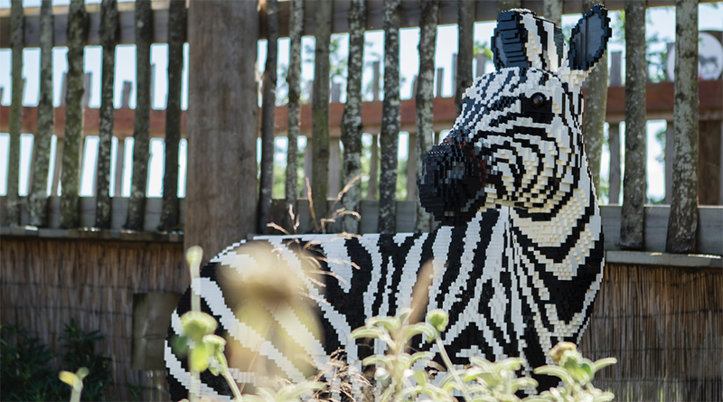 LEGO display comes to Twycross Zoo with the Great Brick Safari
