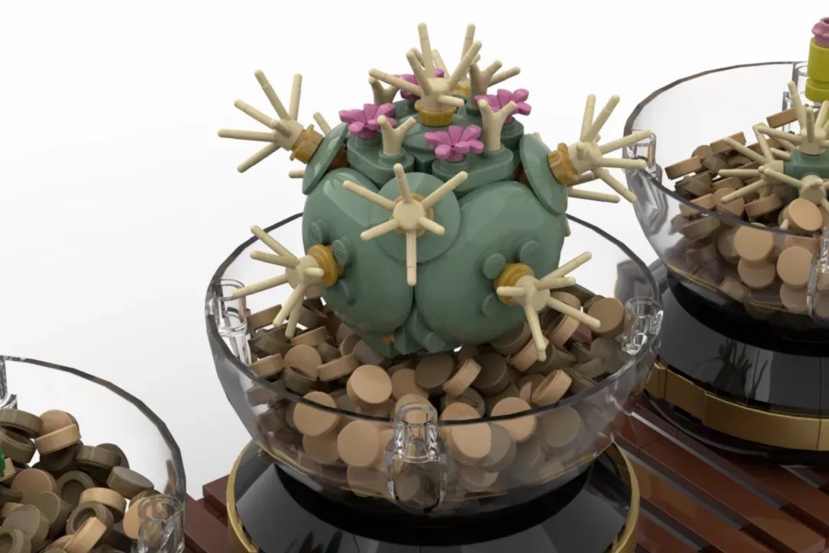 LEGO Ideas Cactusterrariums 4 1200x800