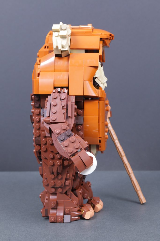 LEGO Star Wars 75430 Wicket der Ewok Rezension 8 683x1024