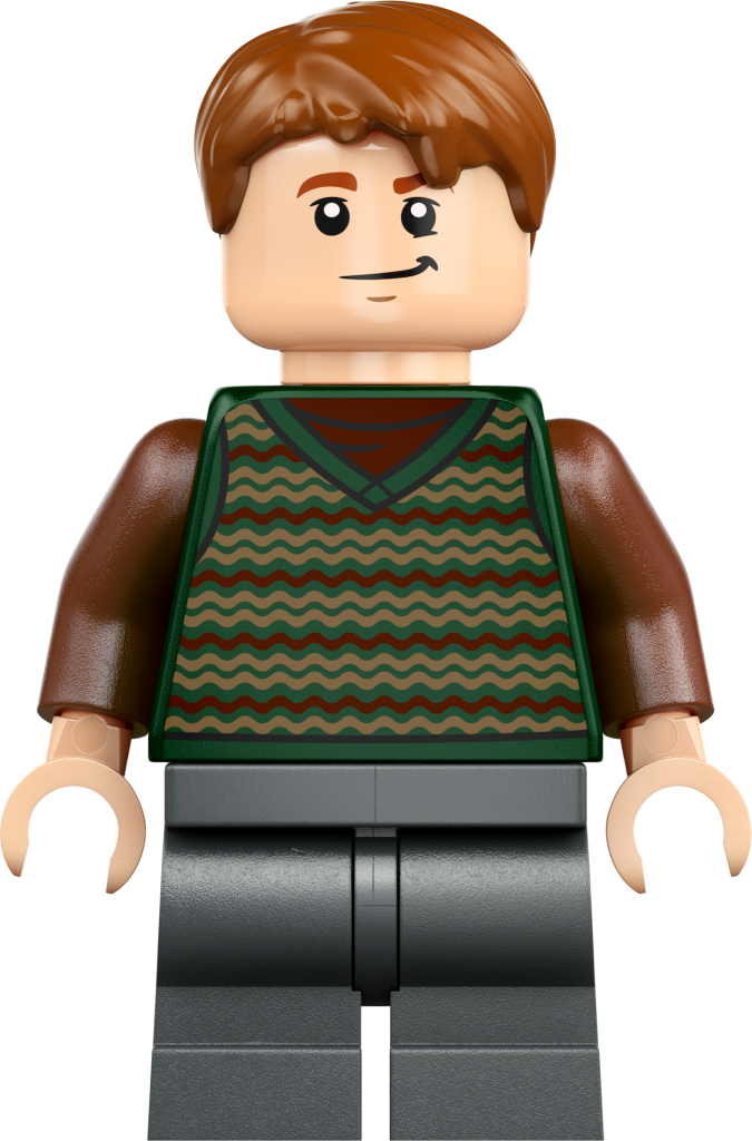 LEGO Harry Potter 76437 La Tana Edizione da collezione 19 675x1024