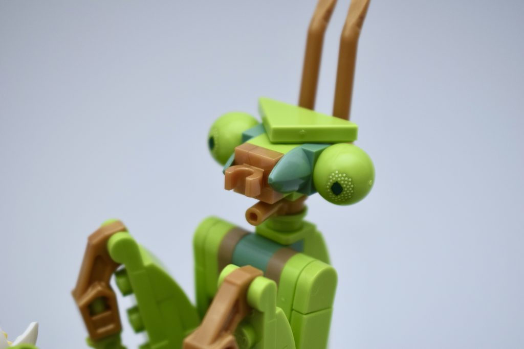 LEGO Ideas 21342 The Insects Collection Review 16 1024x683