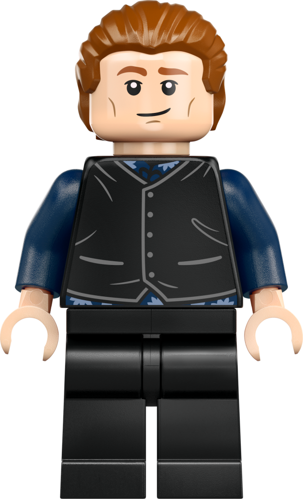 LEGO Harry Potter 76437 La Tana Edizione da collezione 18 622x1024