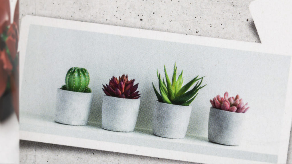 LEGO Creator Expert Botanical Collection 10309 Succulents review - Brick  Fanatics