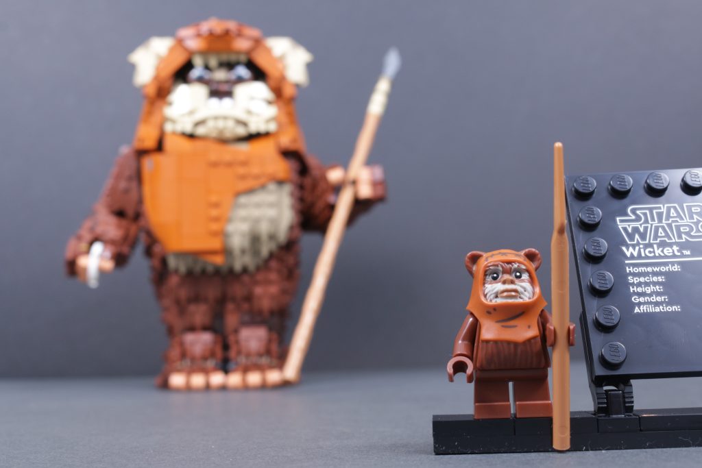 LEGO Star Wars 75430 Wicket der Ewok Rezension 5 1024x683