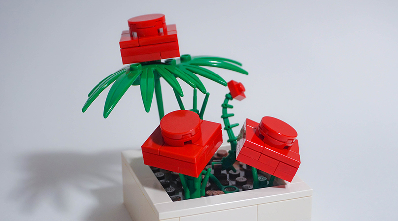 Brick Pic of the Day: Red plate flowers