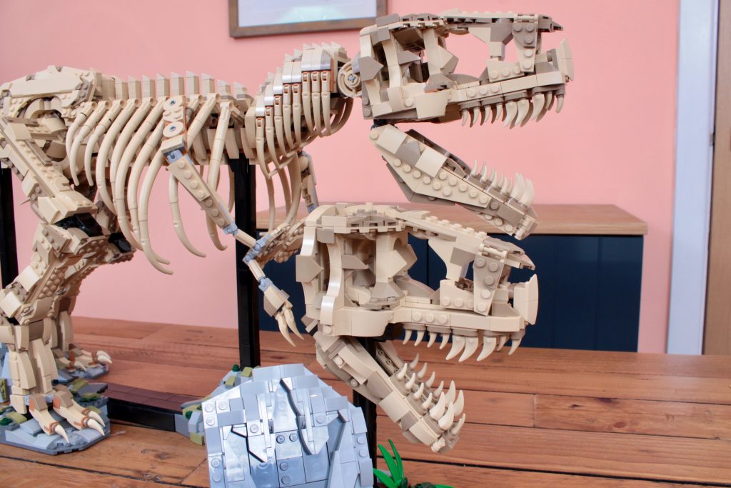 LEGO Jurassic Park 76968 Dinosaurier-Fossilien Tyrannosaurus rex – Testbericht 34 (1024x683)