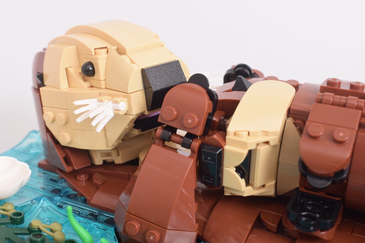 LEGO Ideas 21366 Floating Sea Otters review 6 1200x800