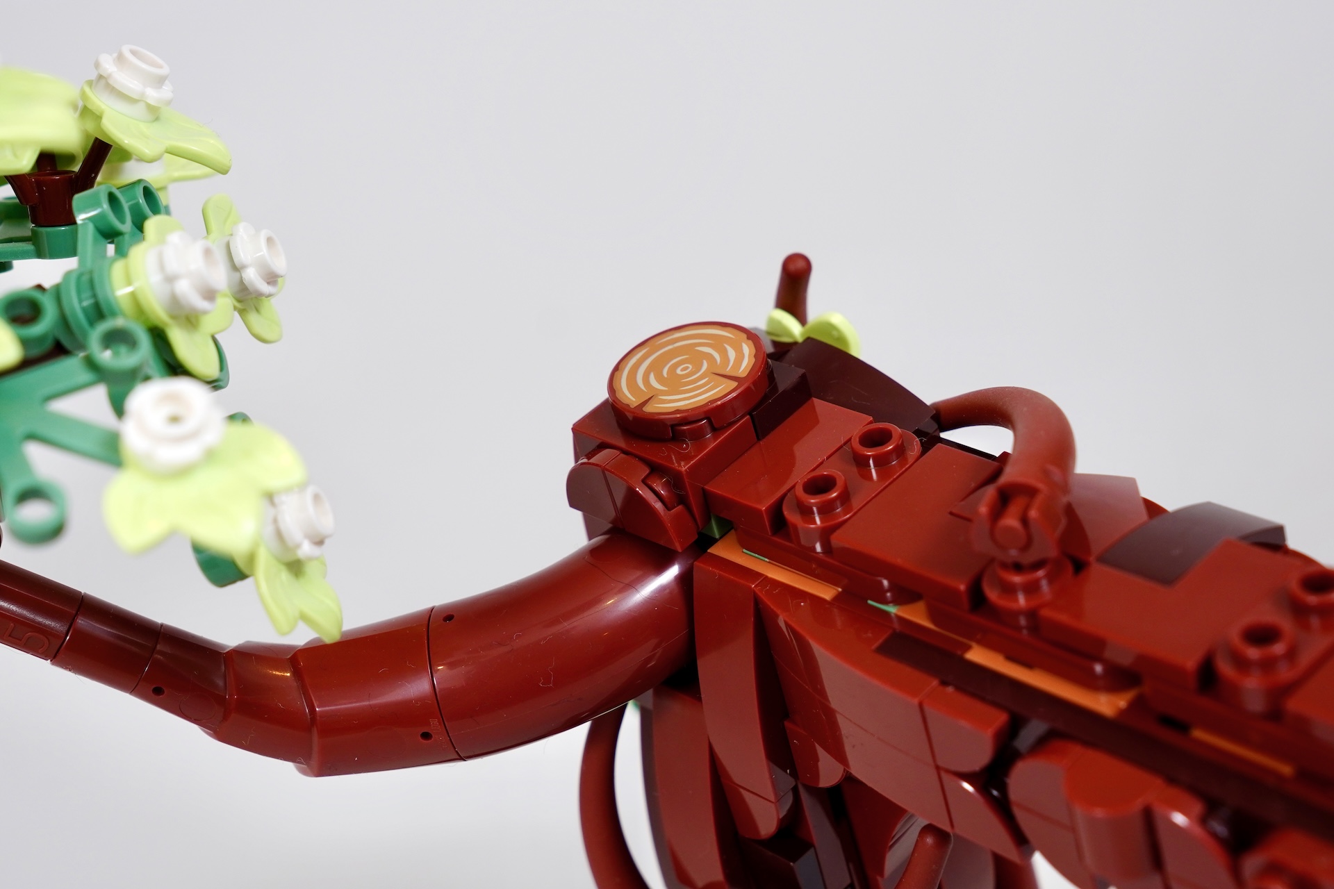 LEGO Ideas 21365 Love Birds review-14