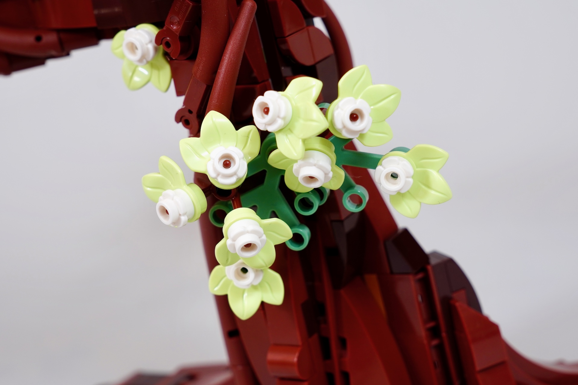LEGO Ideas 21365 Love Birds review-11