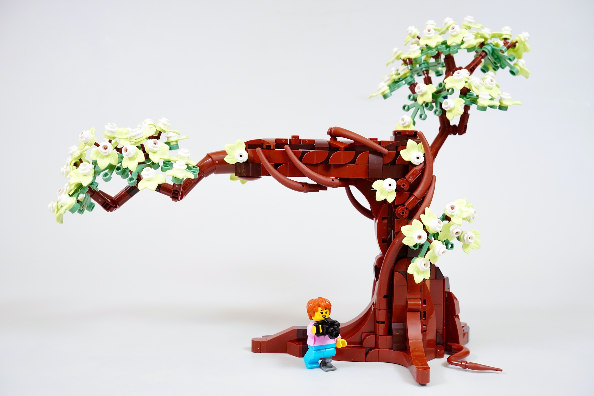 LEGO Ideas 21365 Love Birds review-21