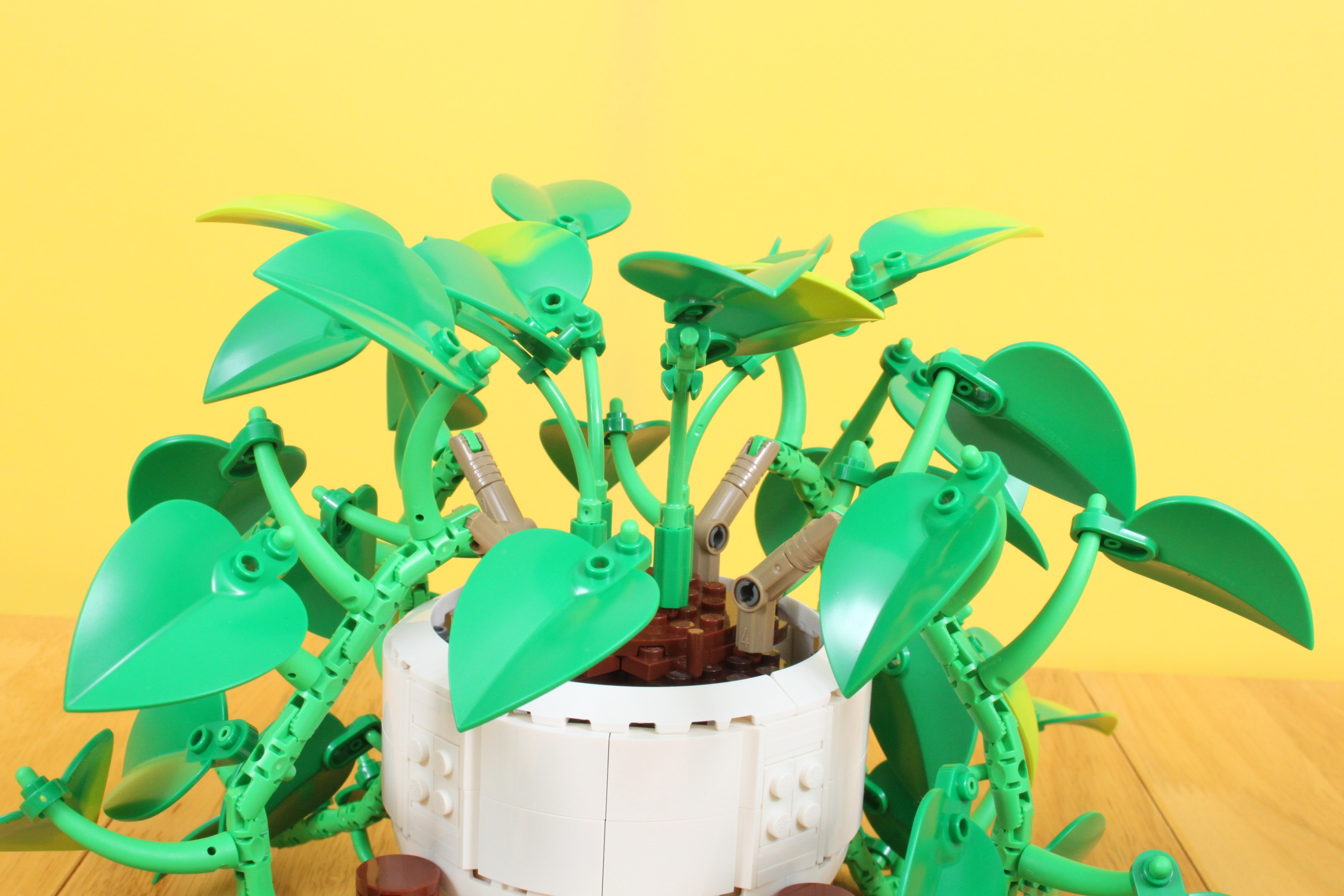 lego botanicals 11512 hanging golden pothos review (5)