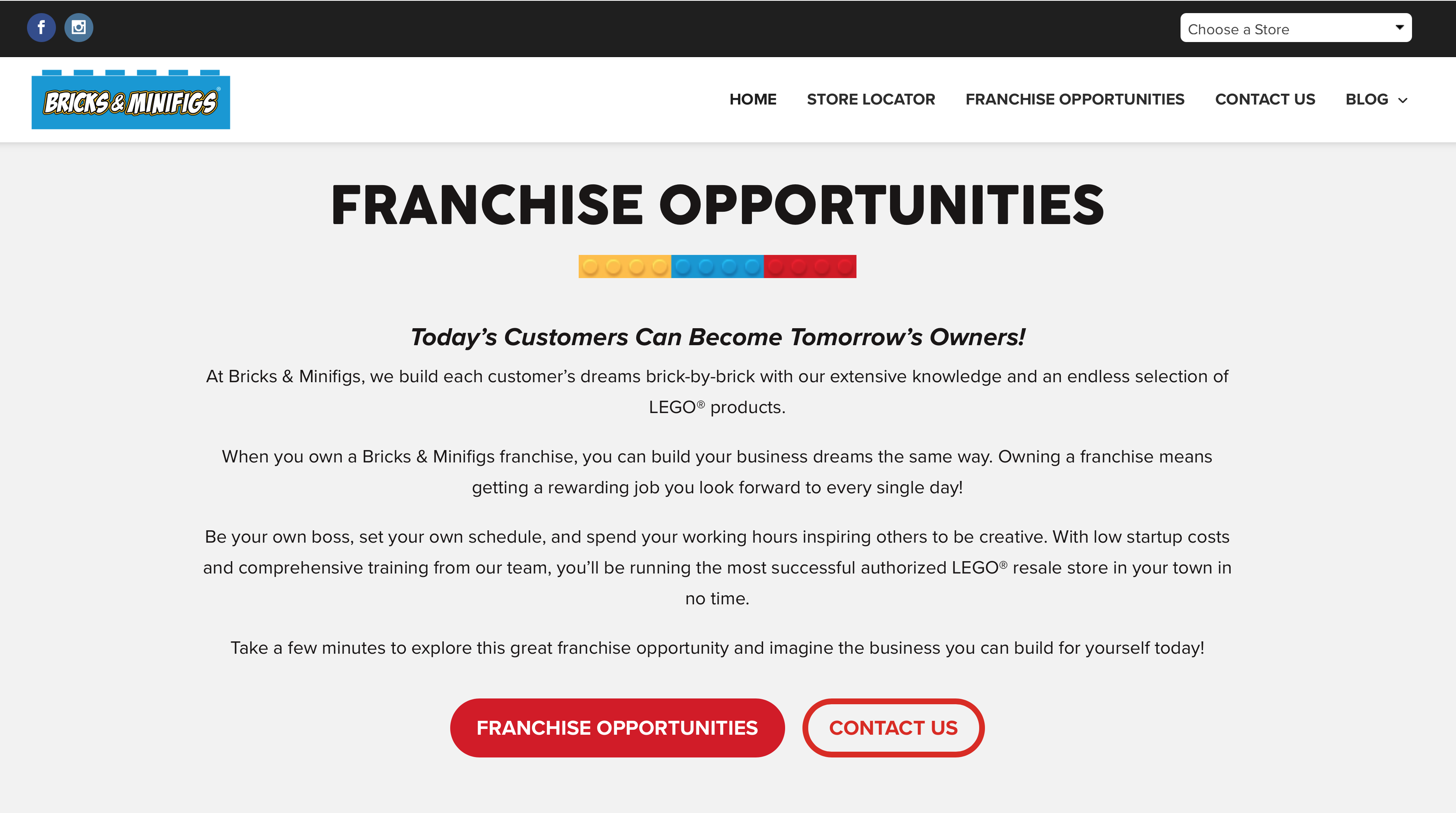 Bricks and Minifigs franchise landing page