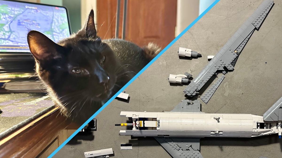 Cat causes LEGO Shuttle Carrier Aircraft crash in hilarious parody report