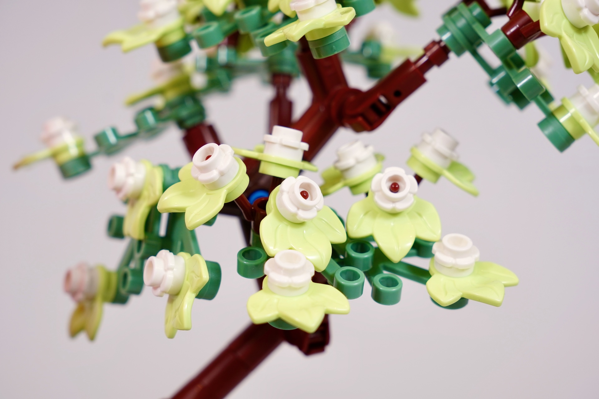 LEGO Ideas 21365 Love Birds review-9