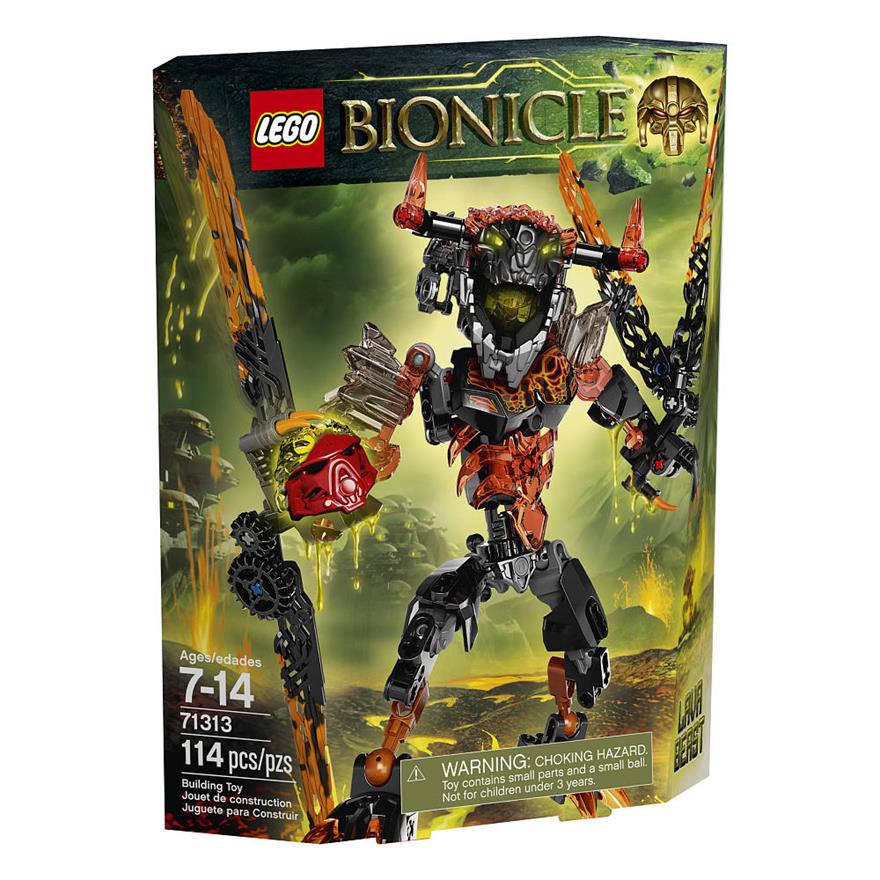 71313