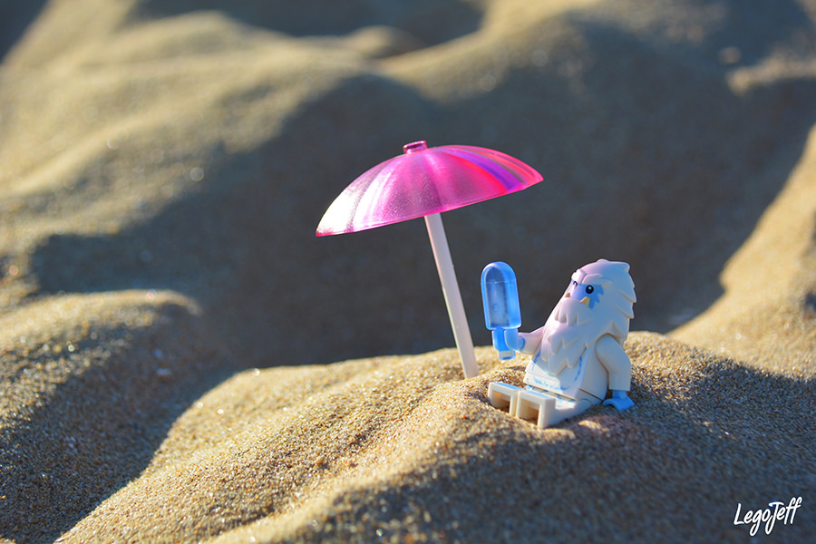 beachlife