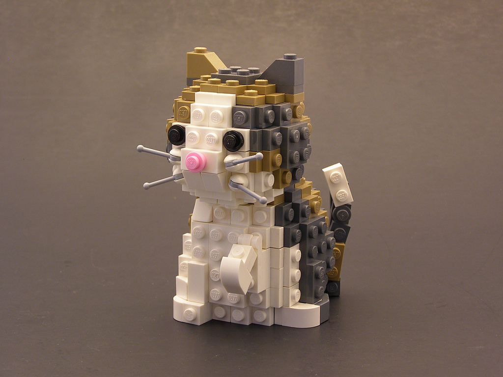 calicocat
