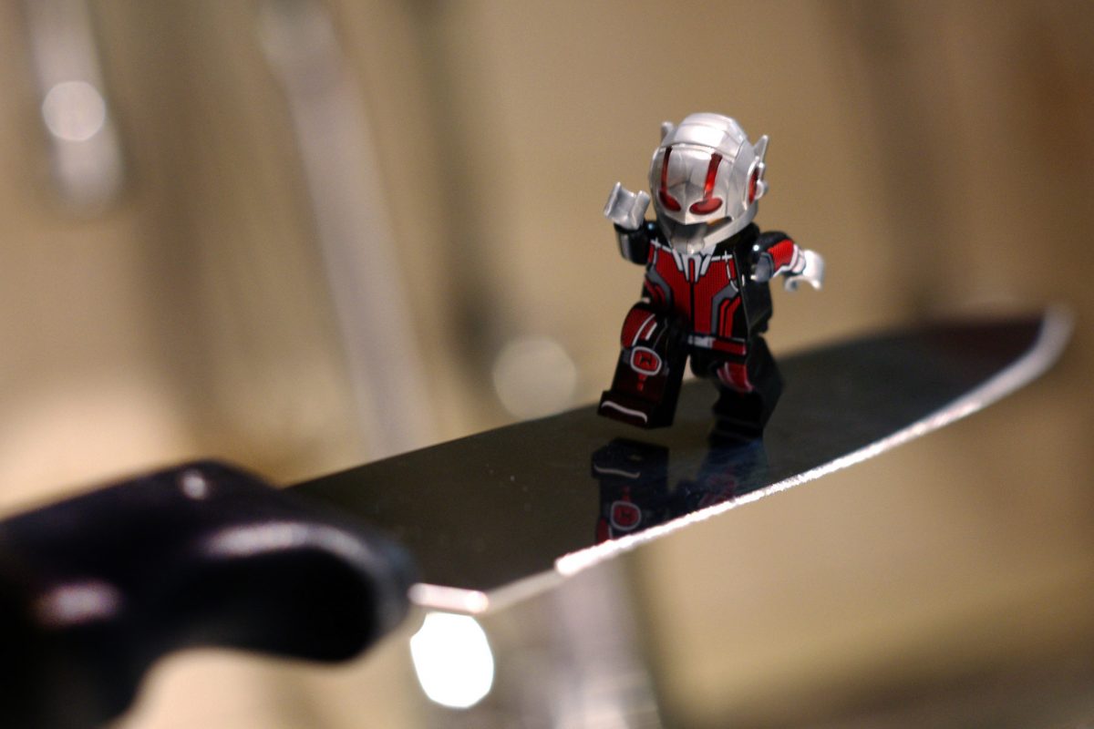 Brick Pic Ant Man